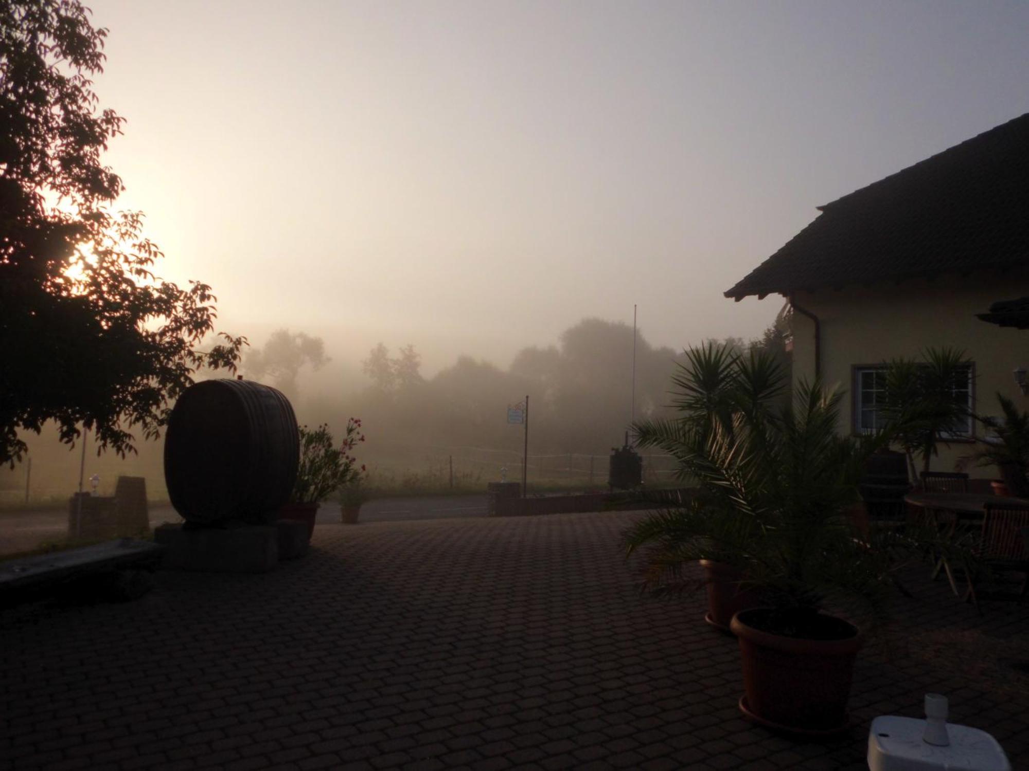 Weingut Hans Bausch Apartment Hattenheim Bagian luar foto